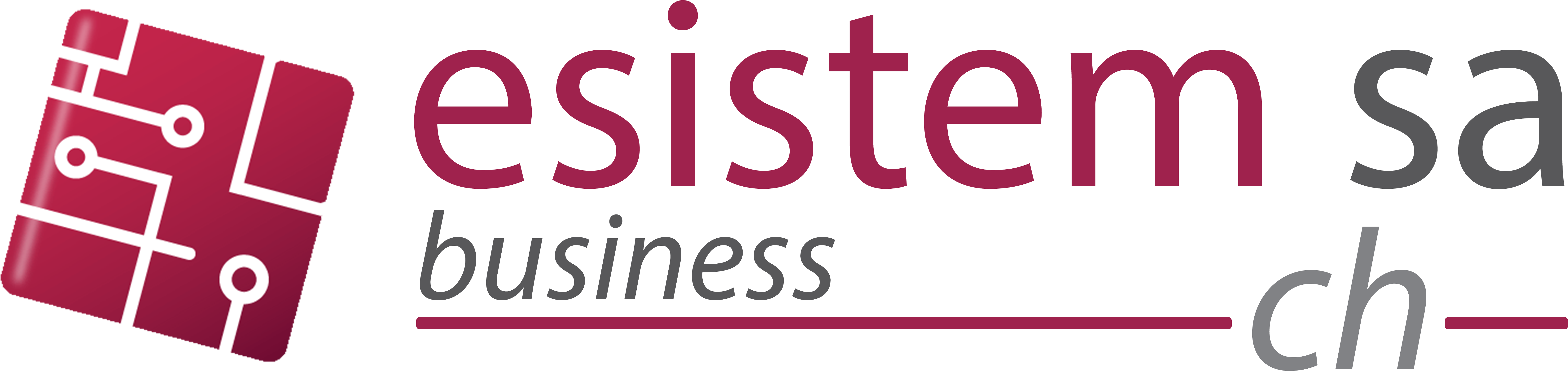Esistem SA Business